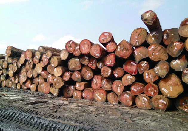 木材收购